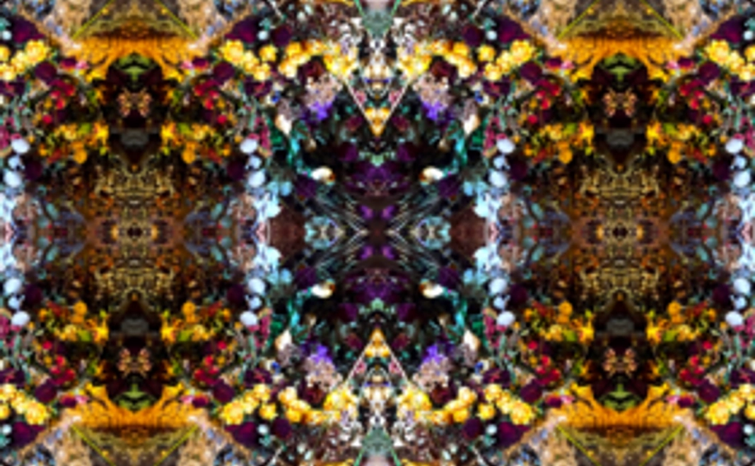 ご支援お礼Ⓑコース