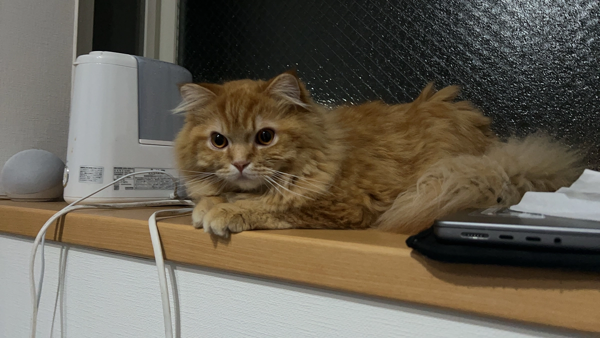 3/26~27の代理支援分のご報告