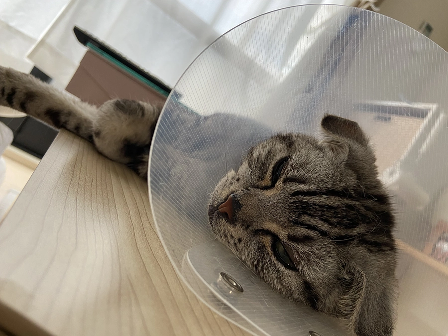 2023.7.10🔥　#闘病生活 83日目🔥