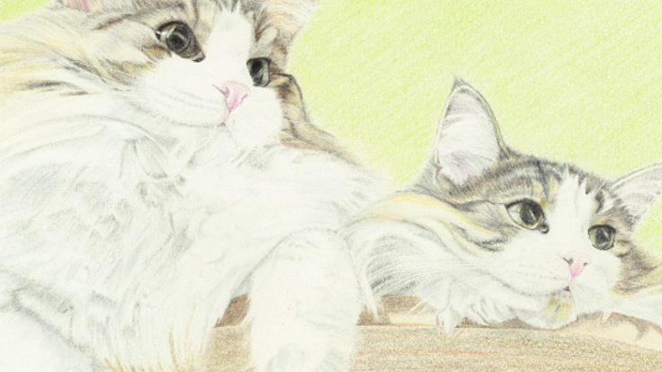 肉球福猫カフェプロジェクト