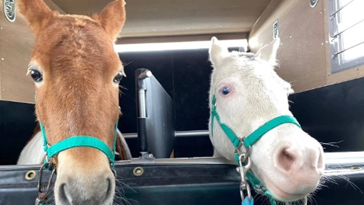 目標達成のお礼とリターンについてのご確認