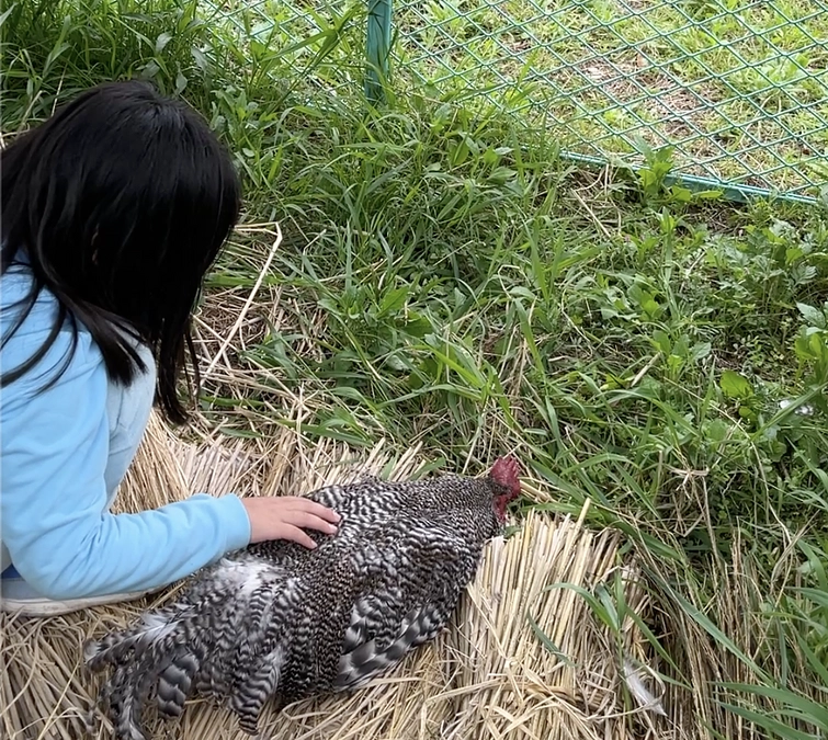 【重大なお知らせ】事件が起きてしまいました。
