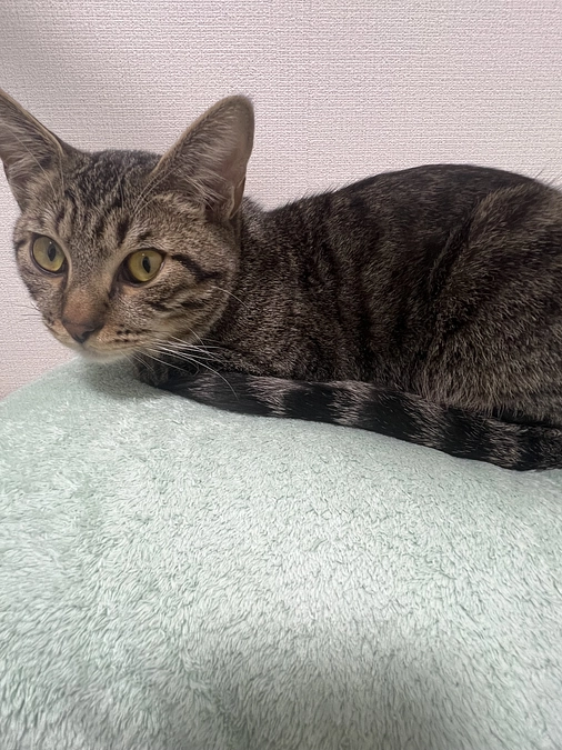 4/26通院日でした。