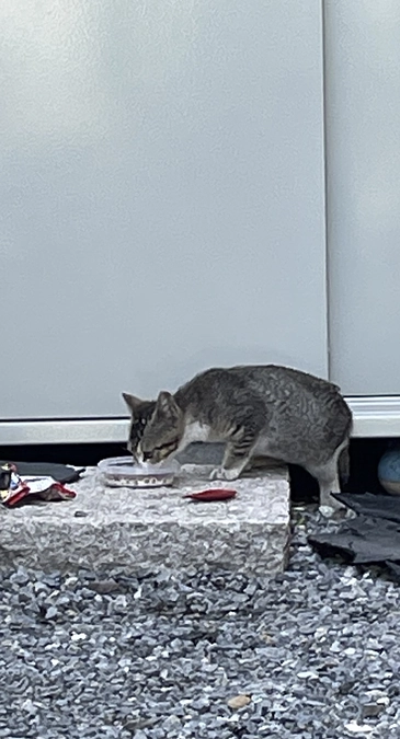 ありがとうございます！！