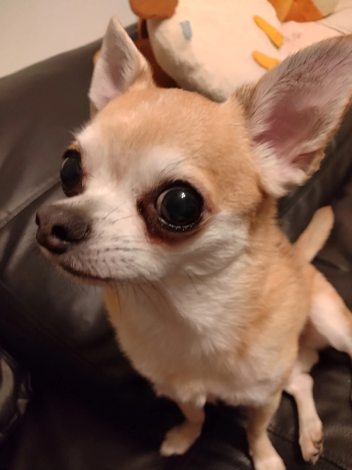 7/15　少し会えました✨