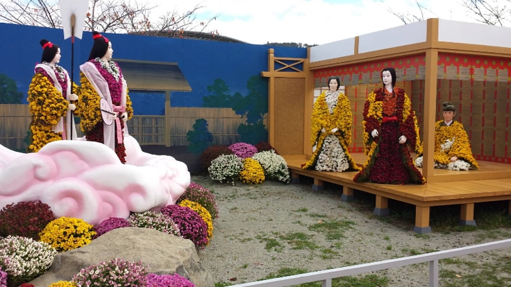 長い歴史を誇る南陽の菊まつり。菊生産者の方々を守りたい。