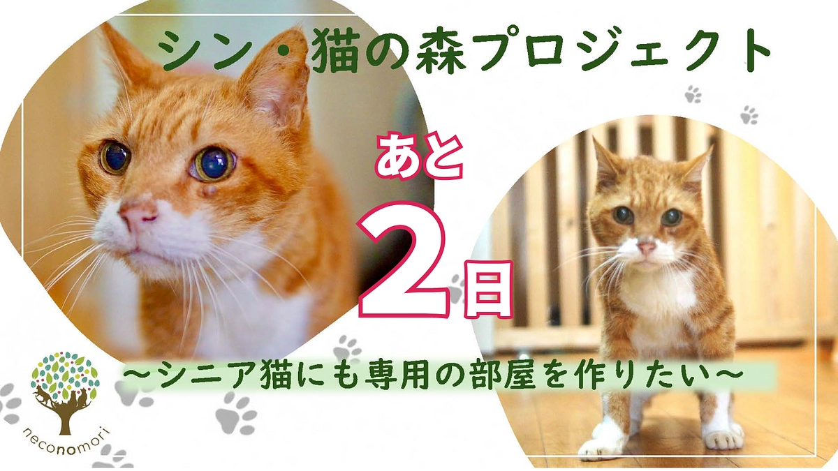 　【残り2日】最後まで応援よろしくお願いします！