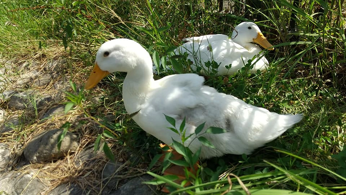 間もなく開演！！