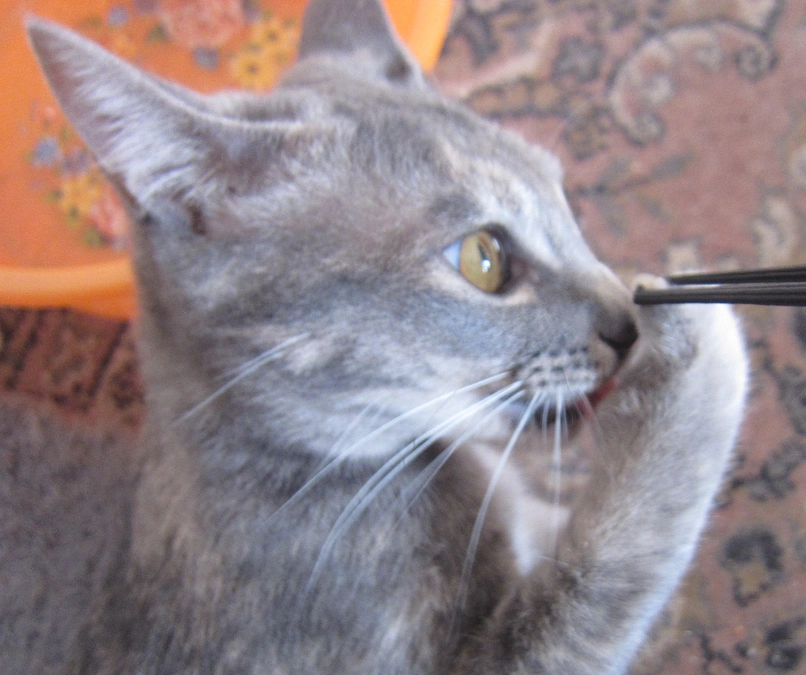 ご支援ご協力をいただきお礼申し上げます