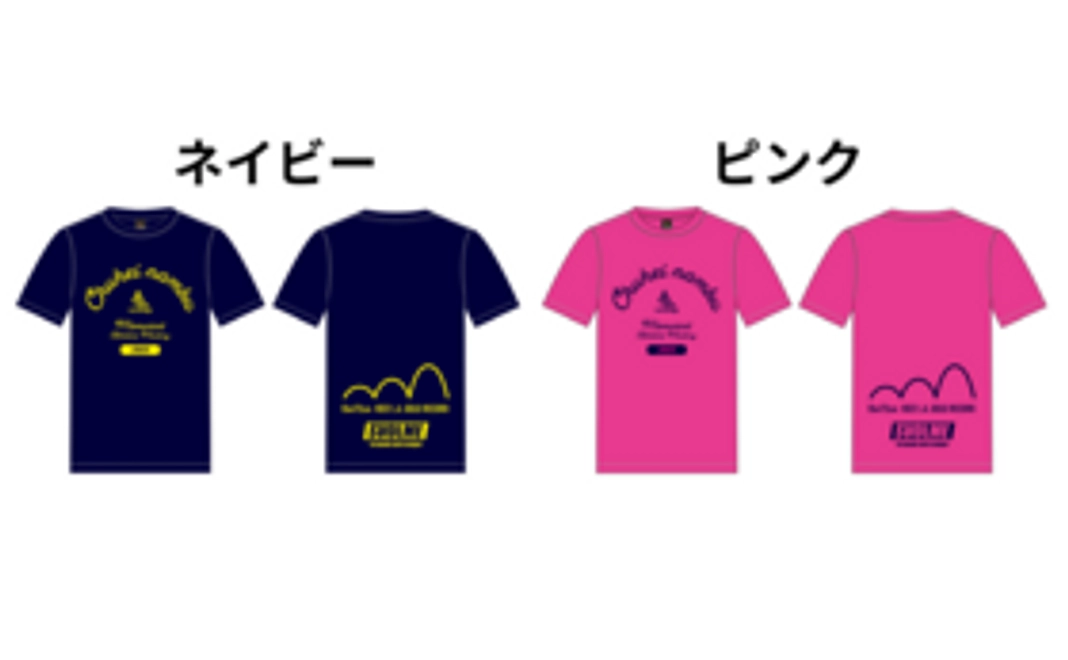 南部記念Tシャツ応援コース