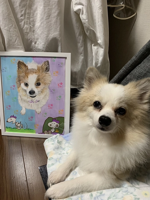 最近のタイラー(急変)🐕