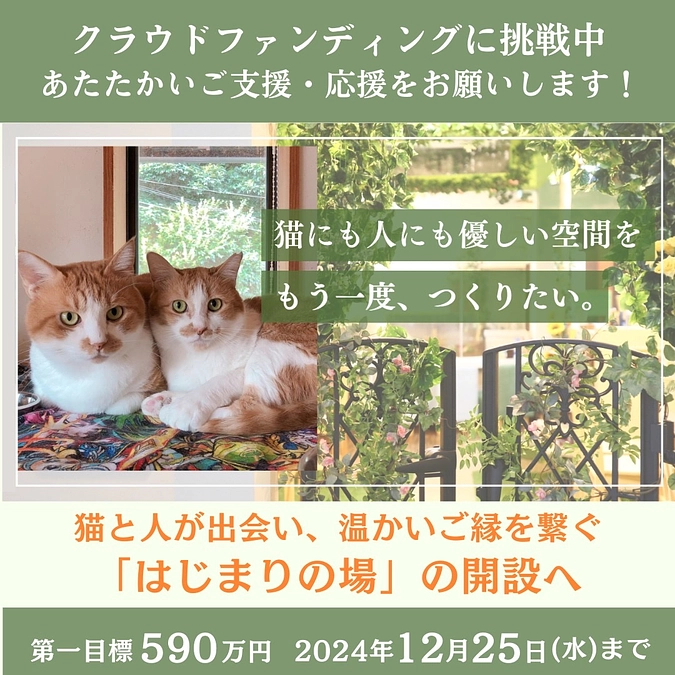 新たなプロジェクトに挑戦中！小さな命を繋ぐ為、新たな開設へ！