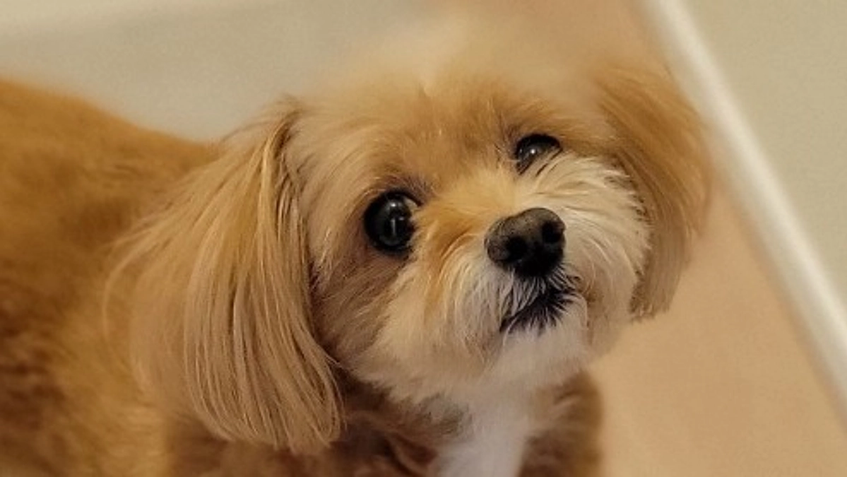 与えすぎてしまいました・・・