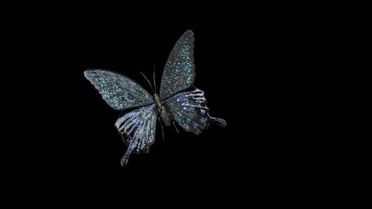 400万円に到達しました！！