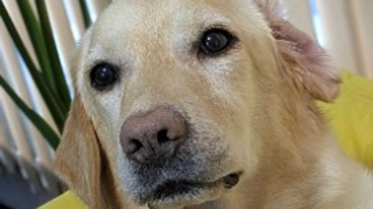 晴天だったので