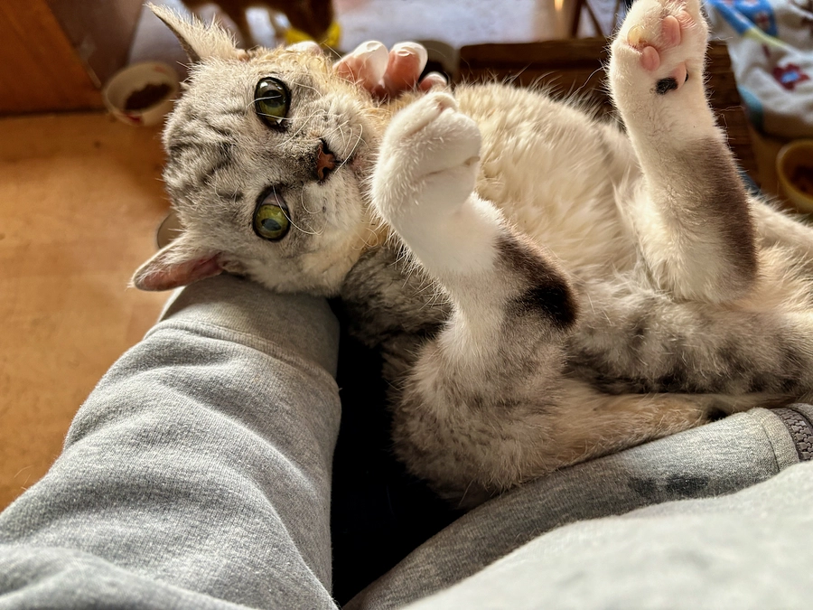 感謝/今年はお世話になりました