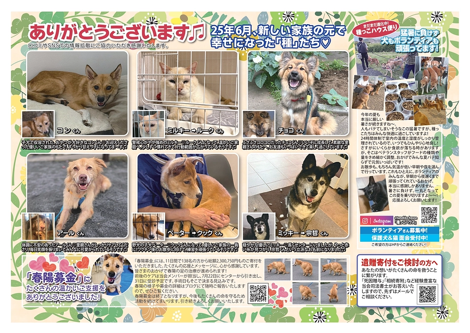 種っこ通信【Newsletter vol.83】近況ご報告♡