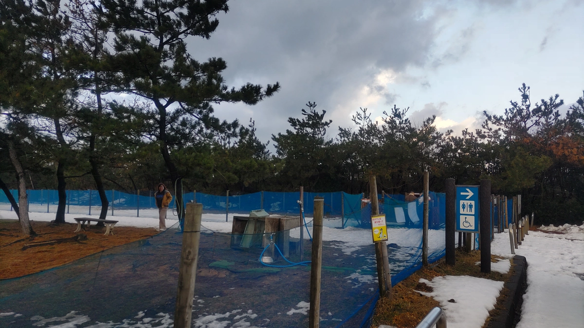 ベイリーさん出発です