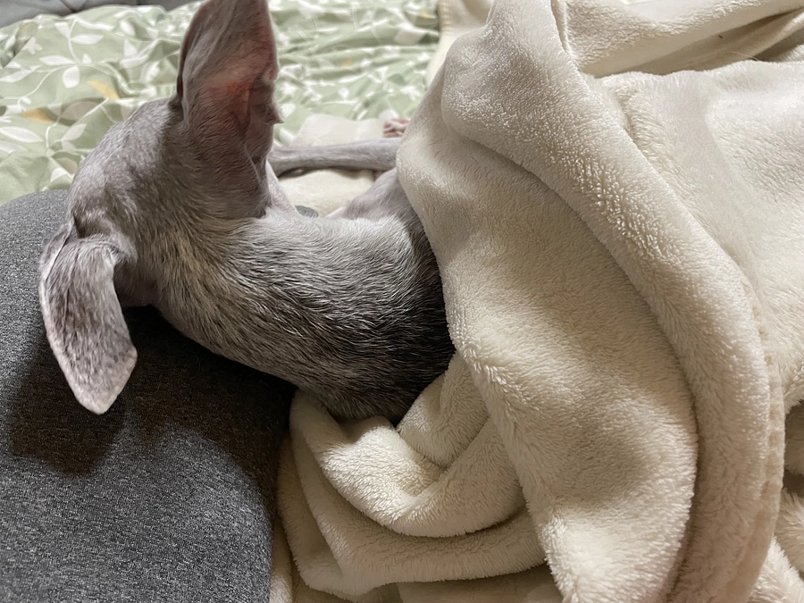 残り18日🗓️達成率5%⏰