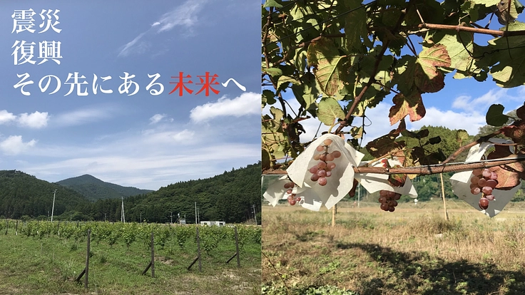 女川町の自然が育んだワイン造りを通して新たな産業を創出したい！