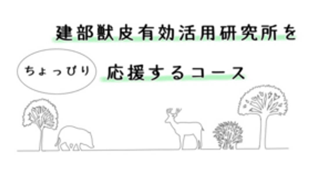 【リターン不要の方向け】活動をちょっぴり応援