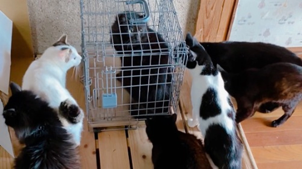 いよいよクラウドファンディングスタート！！