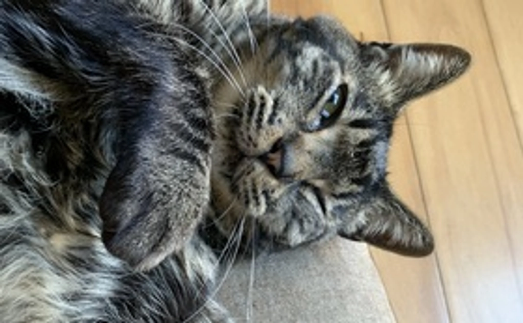 😊感謝のメール