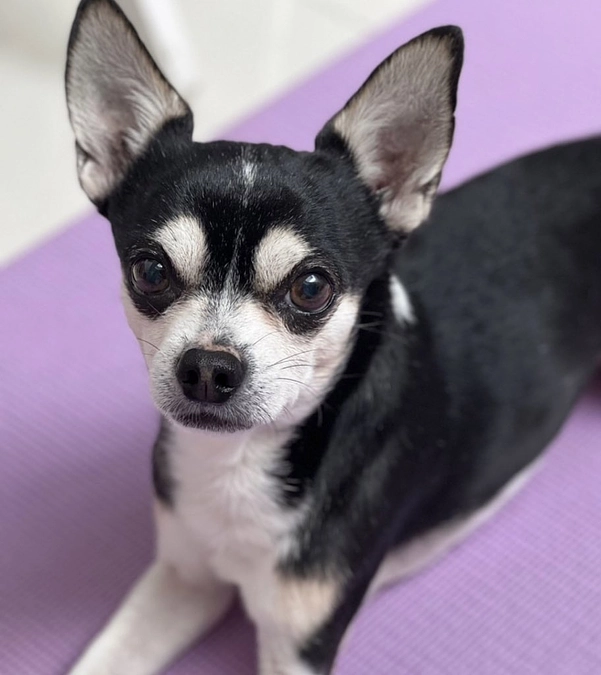 クラウドファンディング残り5日‼︎