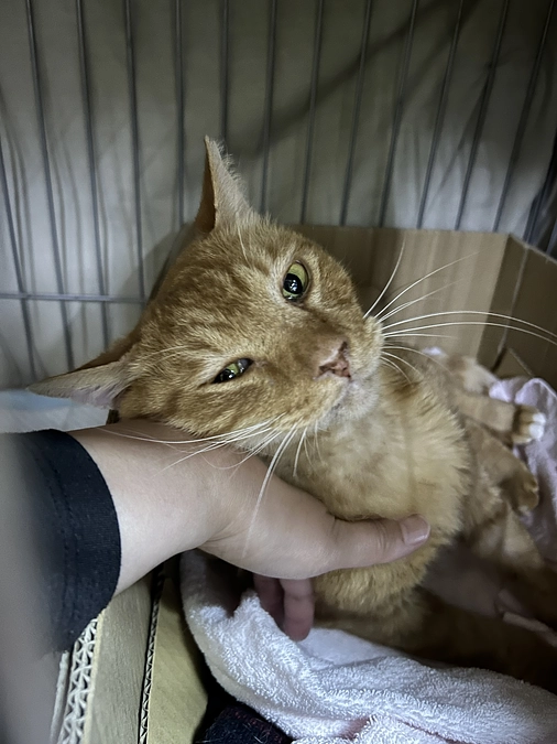 2024年11月22日　15時公開しました！