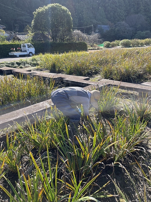 残り9日となりました！加茂荘花鳥園のスタッフの想い。