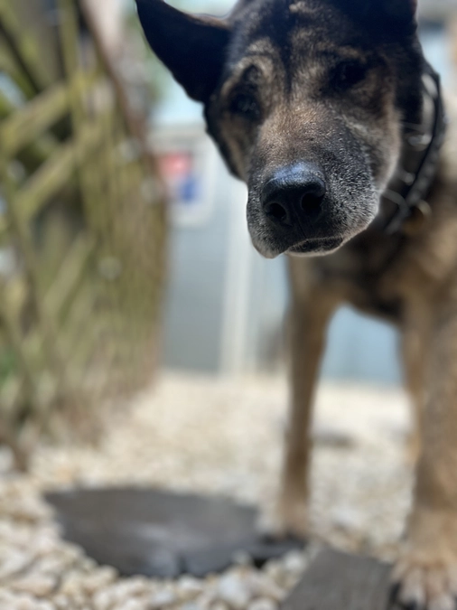 アスルのInstagramを担当してくれている裏スタッフの渾身の想いです。