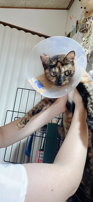 リターンについて。