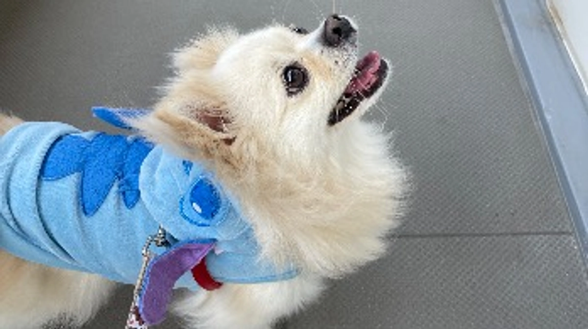 2ヶ月検診の診断書が届きました✉️