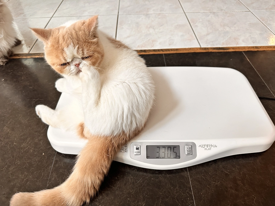 おかえりしちみ🫶🥹