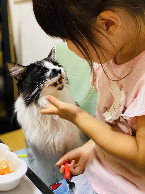 小泉きょうだい