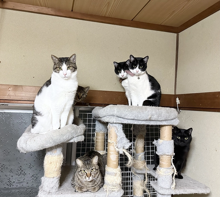 明けましておめでとう御座います