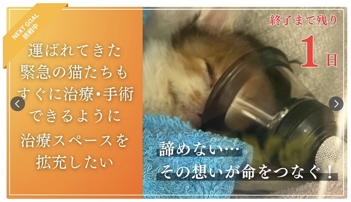 たんぽぽの里の動物病院拡充のクラウドファンディング達成のお礼