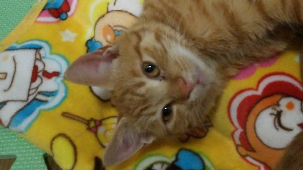 これからも変わらずに