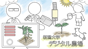農業シーンの課題を解決する「新潟大学デジタル農場」はじめの一歩！