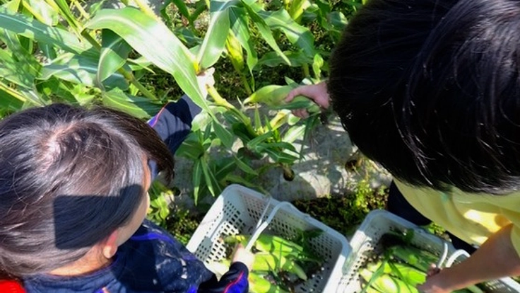 児童養護施設の子どもたちをアグリワークキャンプに招待したい！