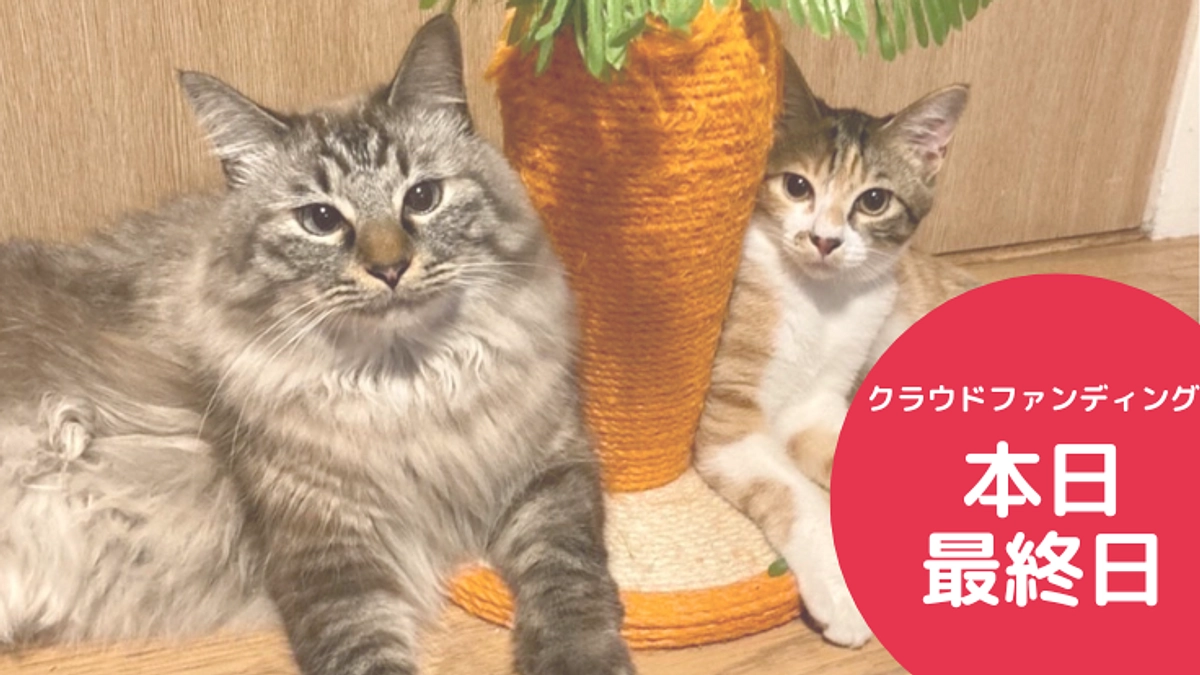 本日最終日となりました！