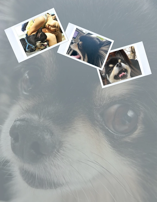 ＊【手術日についてのご報告】＊