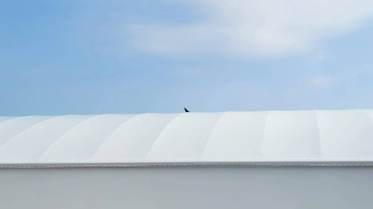 八咫烏（ヤタガラス）