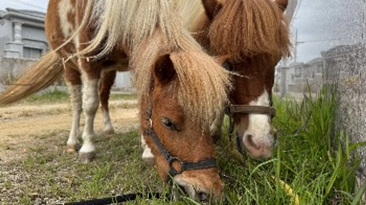やっとの近況報告