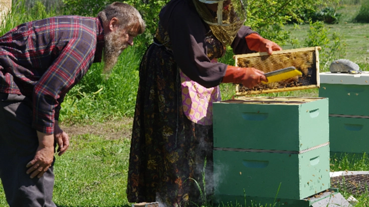 第二弾！オーロラハニーの養蜂家を増やし過疎化を歯止めしたい！