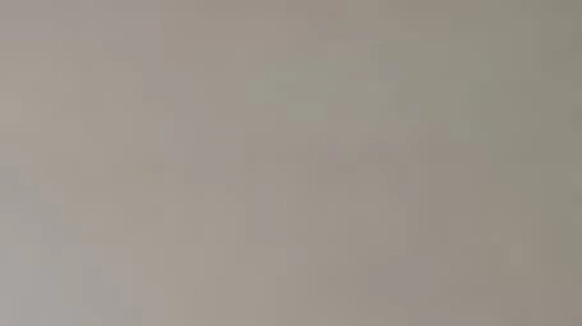 保護猫シェルター&猫カフェ　完成