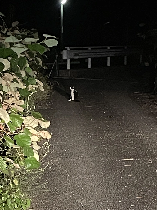 NEXTゴール挑戦中‼️お力をお貸しください🙇‍♀️