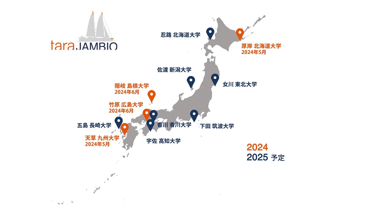 Tara JAMBIO ブルーカーボンプロジェクト  2年目の挑戦がスタート