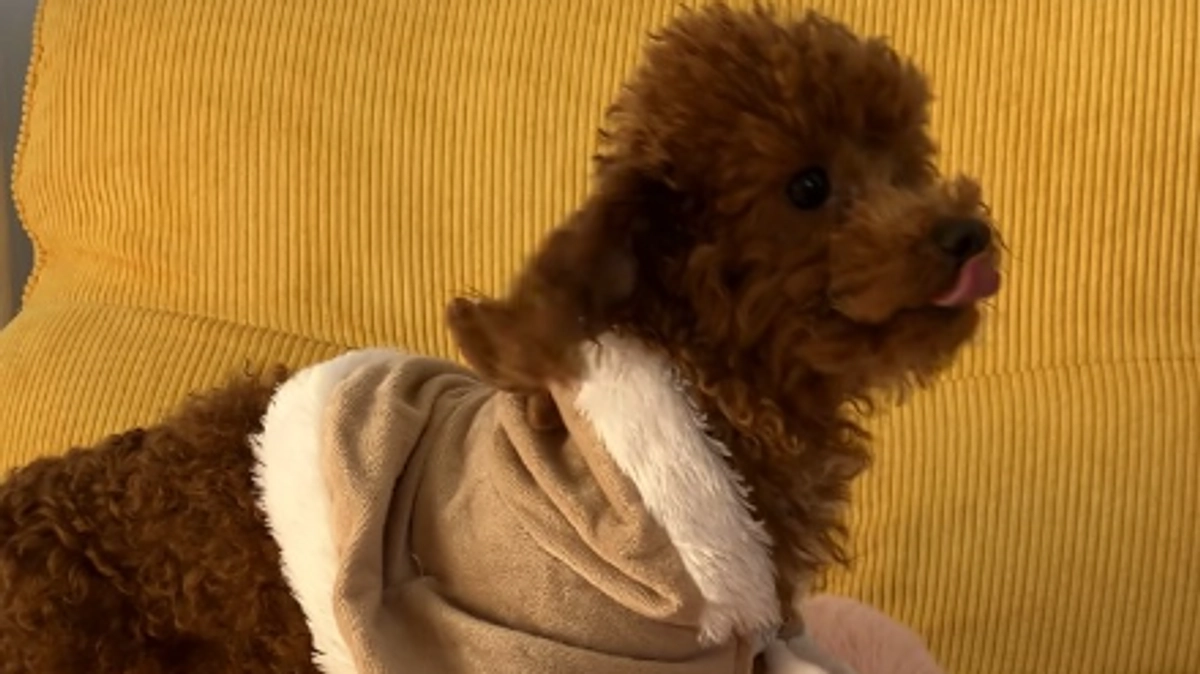 手術日決定とリターンについて