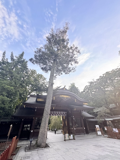 ”松本莉緒book” 制作再始動!!  - 追い込み1日目編 -